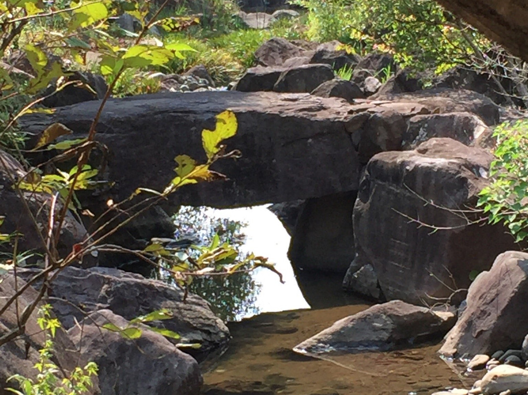 Eco Park Minamata-水俣市必去景点