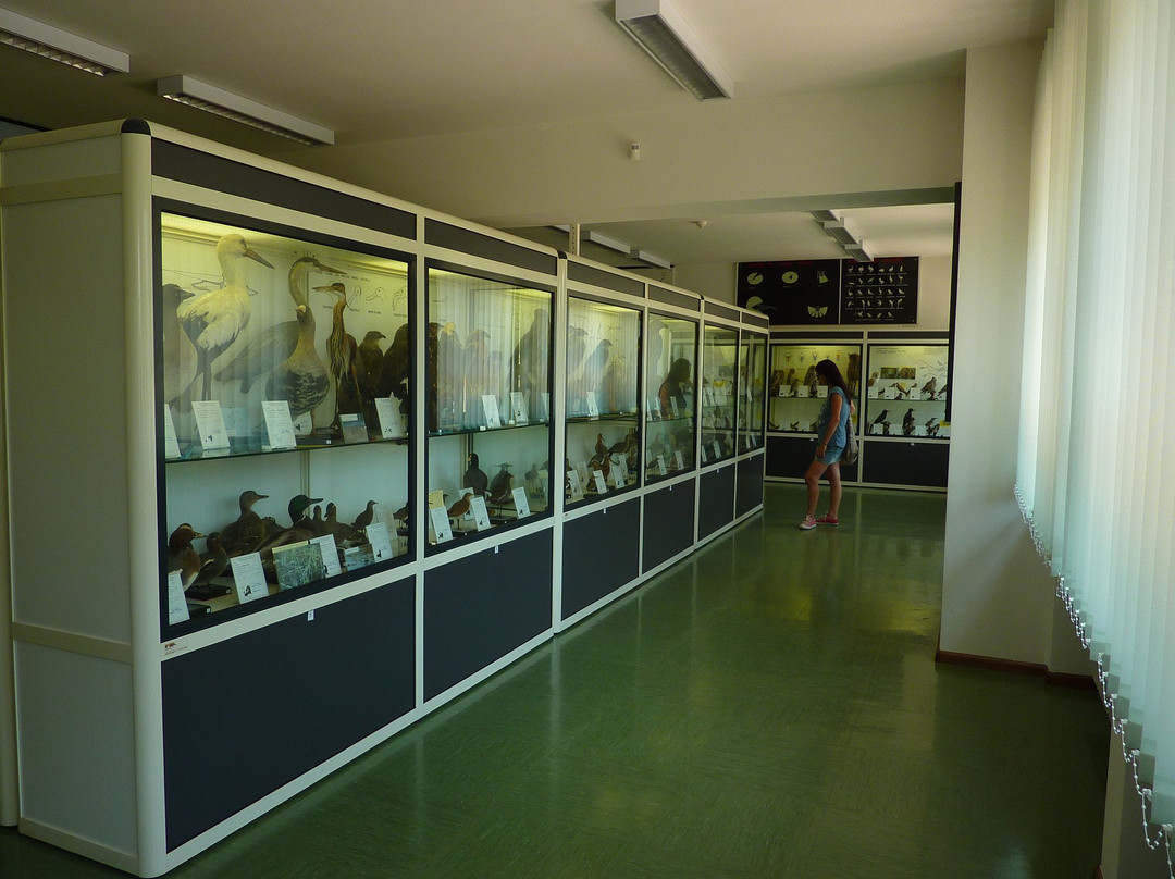 Museo di Storia Naturale-Chies d'Alpago必去景点