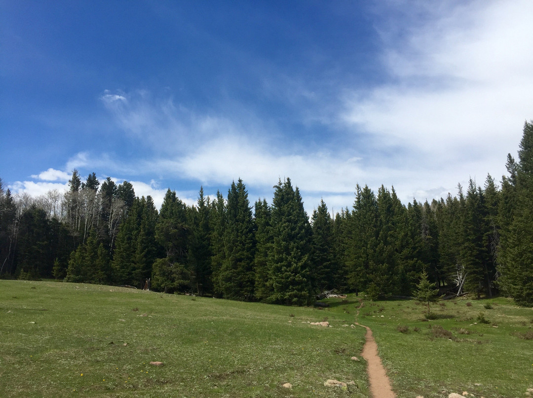 San Pedro Parks Wilderness-Cuba必去景点