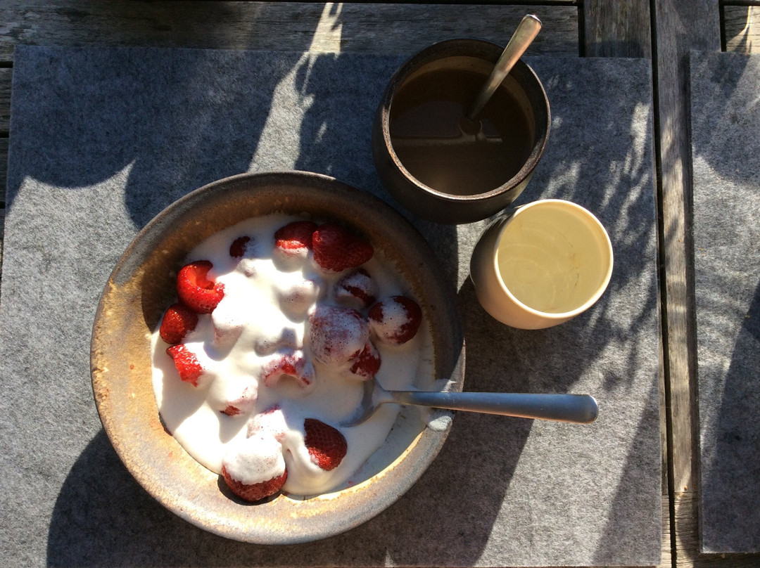 Skagen Pottery-斯卡恩必去景点