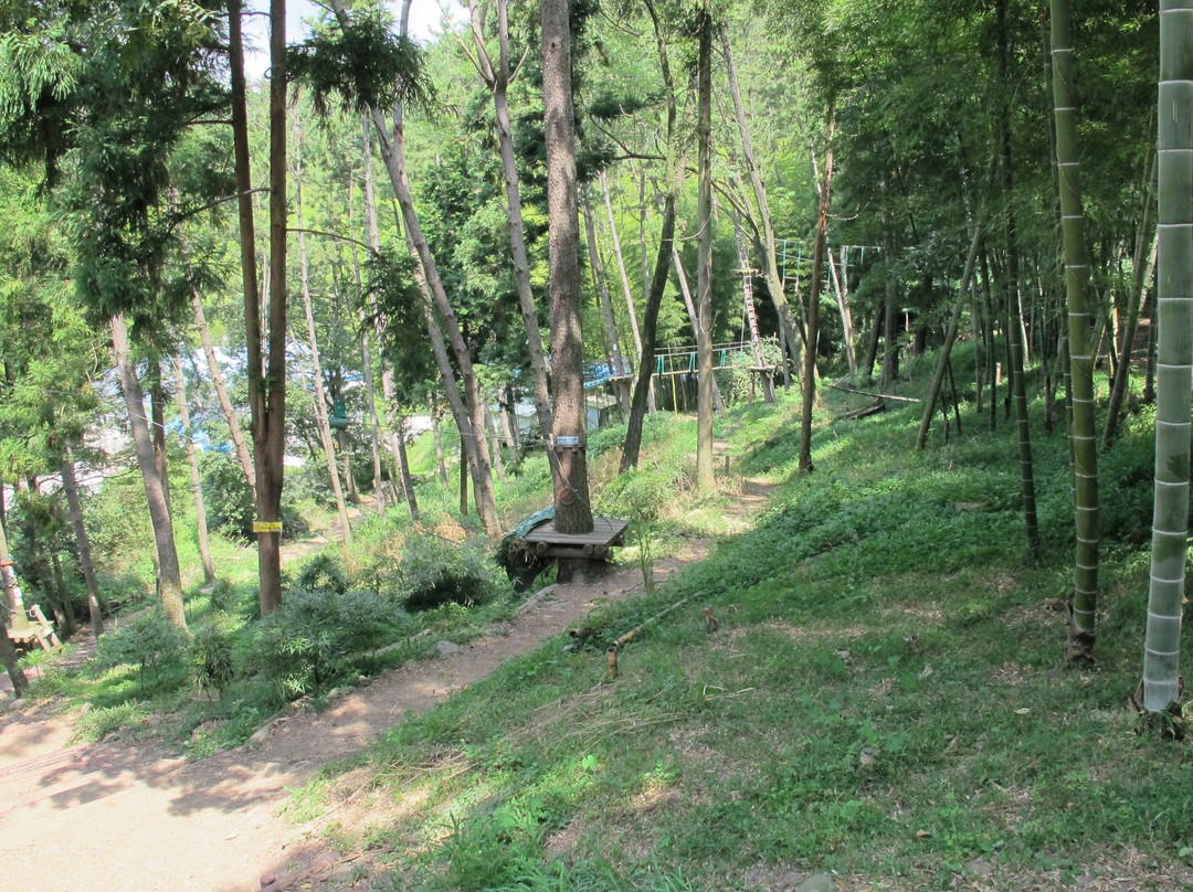 Maengjongjuk Theme Park-巨济市必去景点