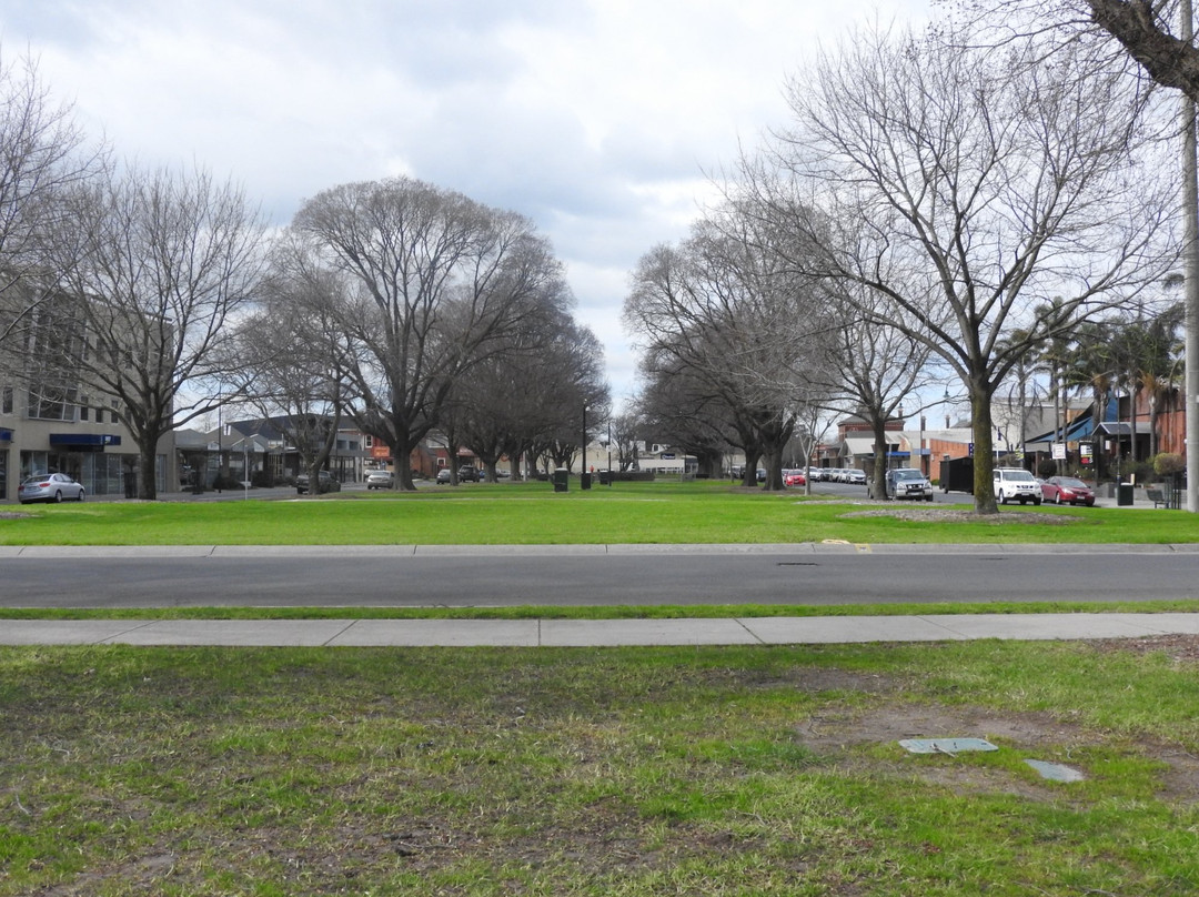 Kay Street Garden-特拉拉尔根必去景点