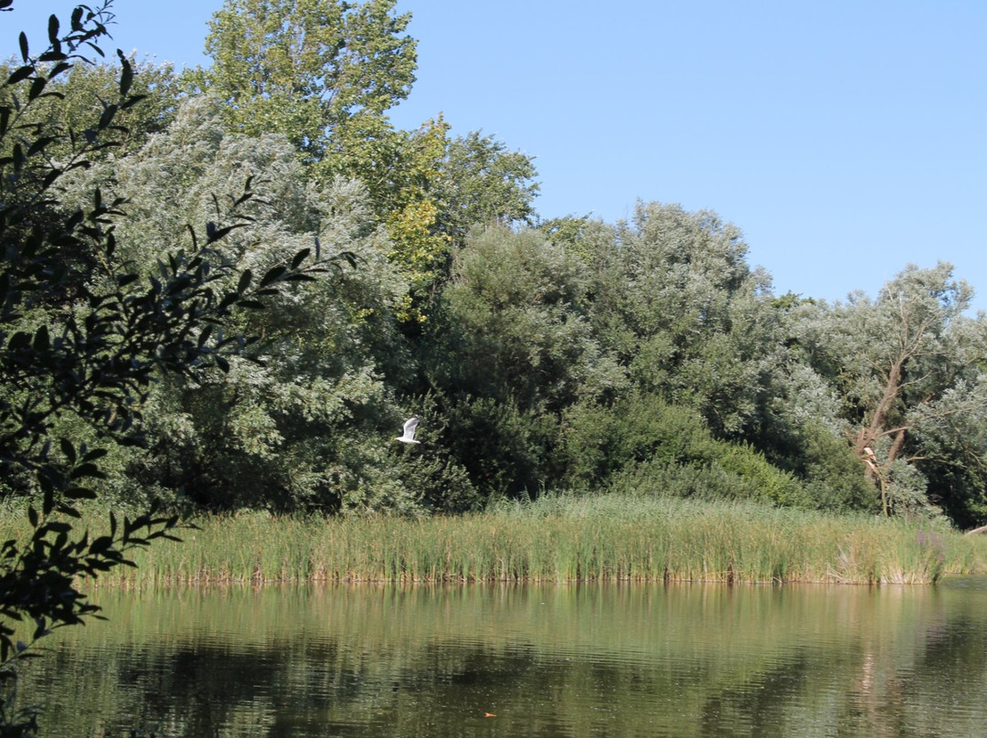 Angelteich Vroonplas-Renesse必去景点