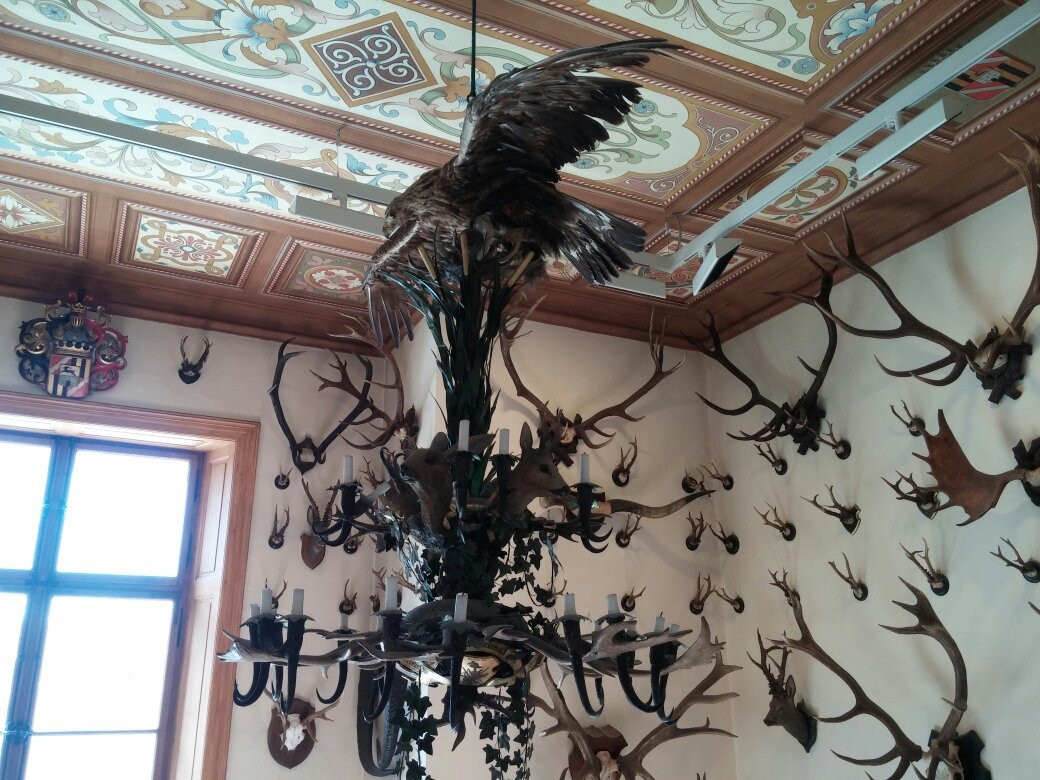 Alpenfauna Museum "Beck Peccoz" - Museo regionale della fauna alpina景点图片