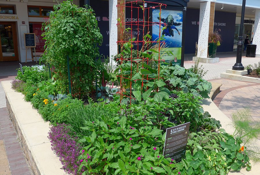 Westfield Old Orchard Center-斯科基必去景点