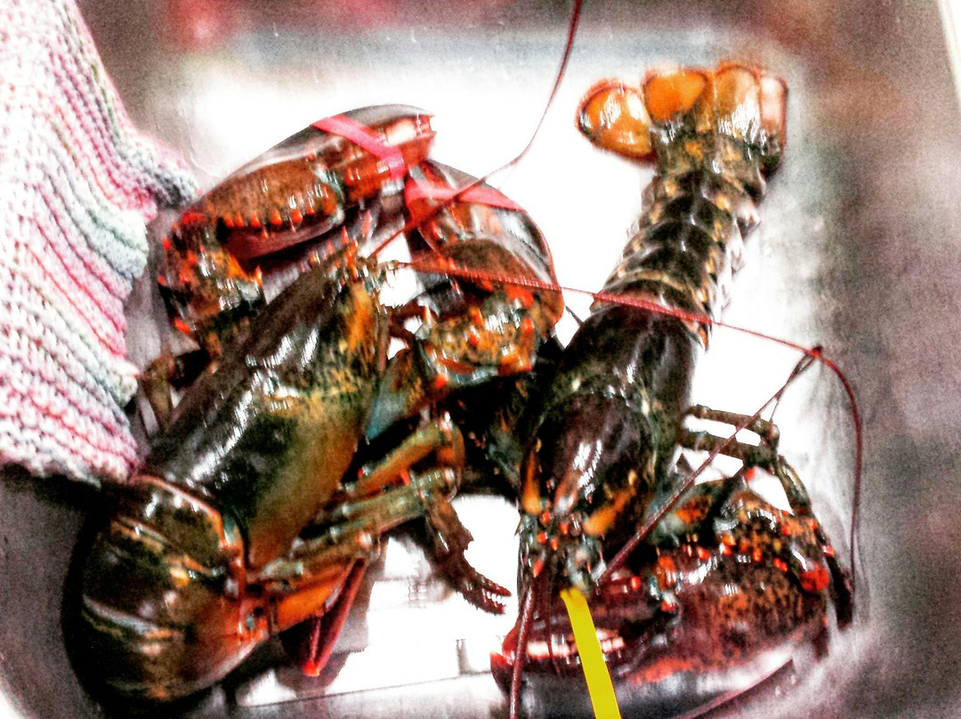 Dorr Lobster Seafood Market-班戈必去景点