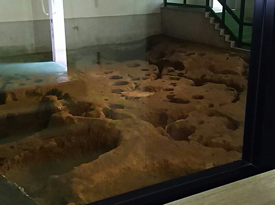Kasori Shellmounds Site Museum-千叶市必去景点