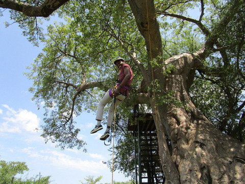 Treemma Travel & Tours-李文斯顿必去景点