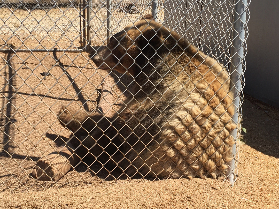 The Barry R. Kirshner Wildlife Foundation景点图片