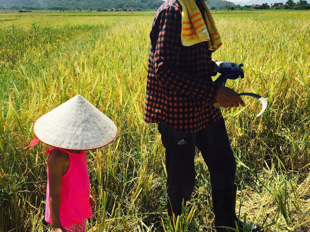 Vietnam Eco Adventure-河内必去景点