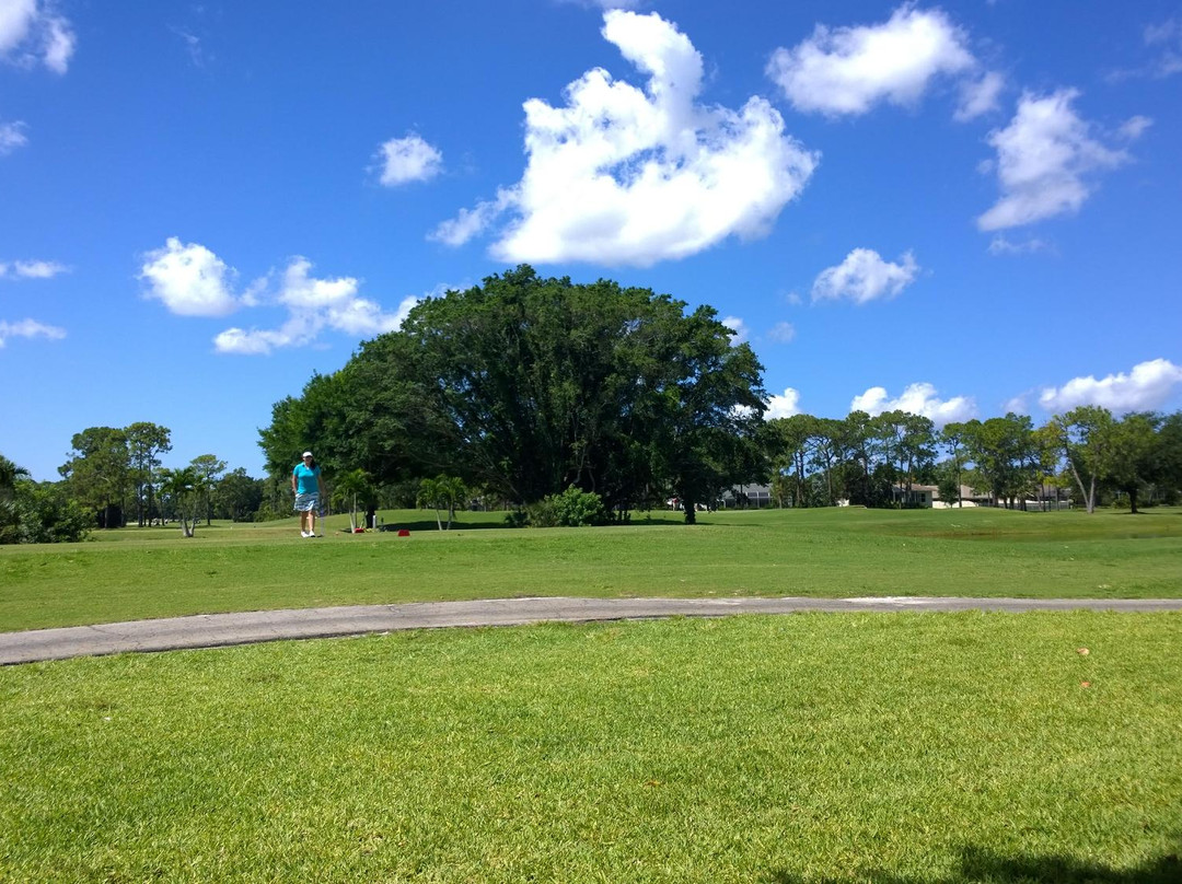 Palmetto-Pine Country Club-开普科勒尔必去景点