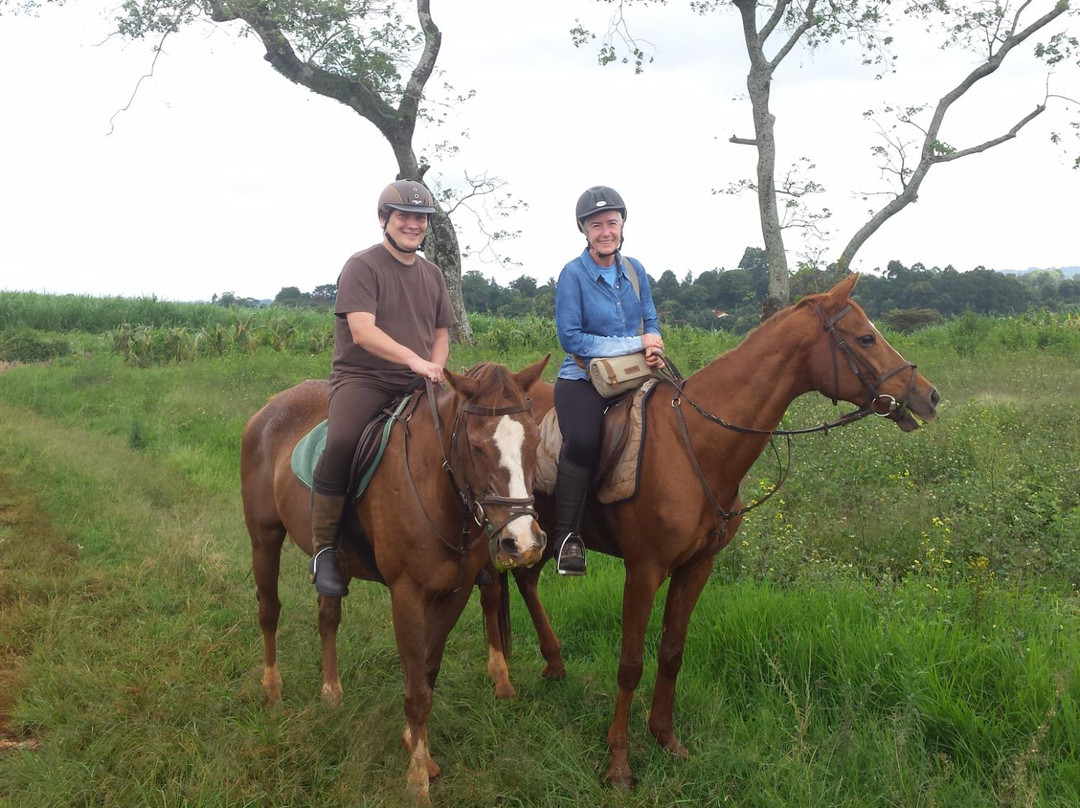 Kawamwaki Farm-黎木鲁必去景点