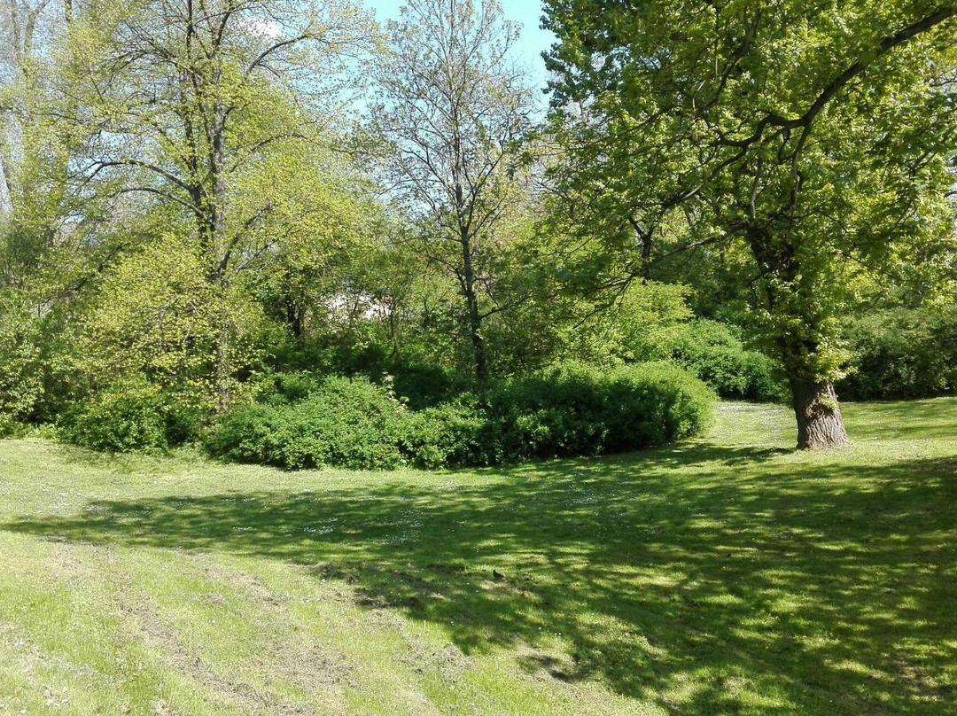 Geschwister-Scholl-Park-马格德堡必去景点