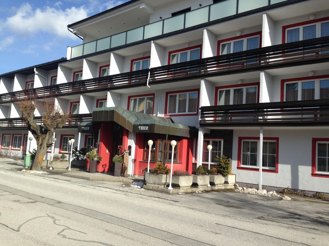 Pinggau酒店住宿-Hotel Thier