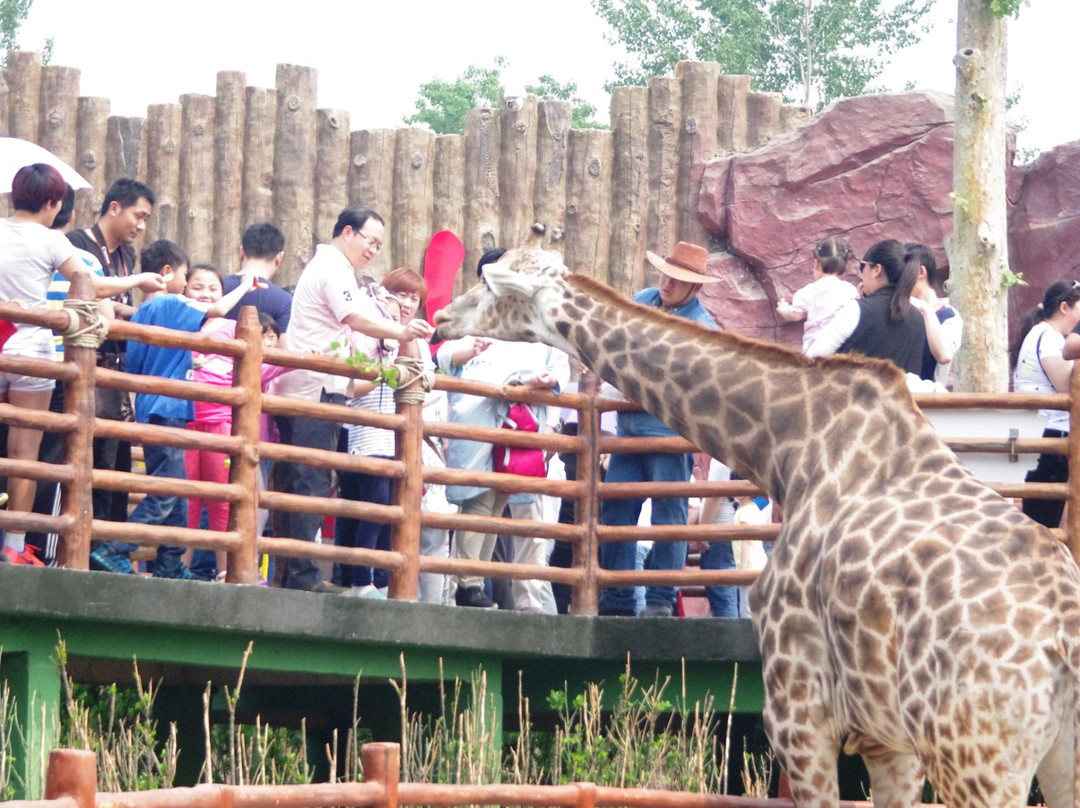 济南野生动物园-济南市必去景点