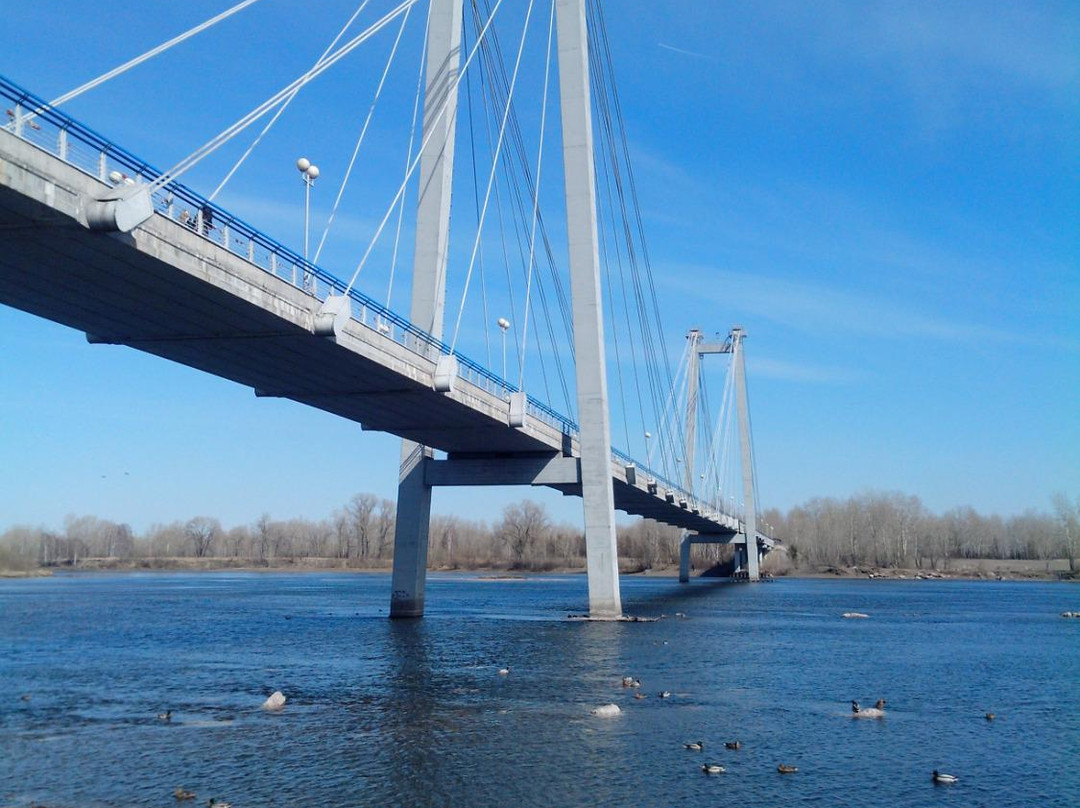 Vynogradovskiy Bridge-克拉斯诺亚尔斯克必去景点