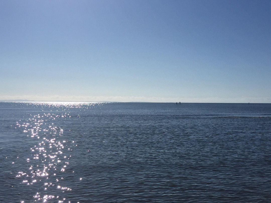 Surf Connect Wind and Kitesurfing School-布里斯班必去景点