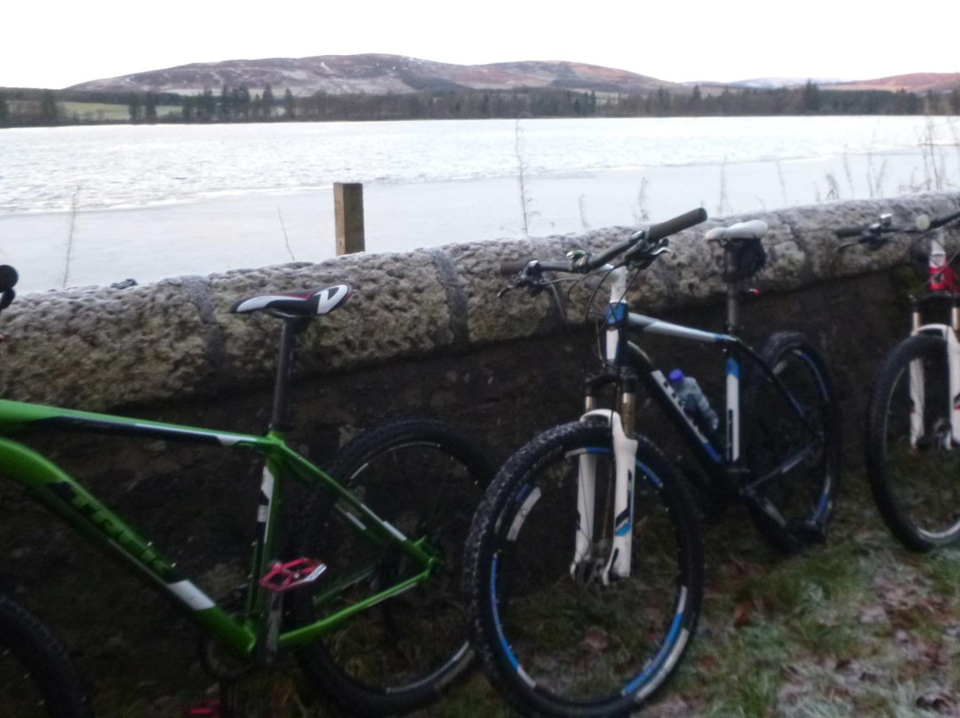 Alyth Cycles景点图片