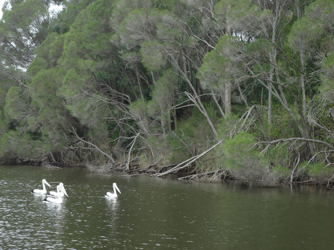 Captain John Gerard's Wilderness River Cruises景点图片
