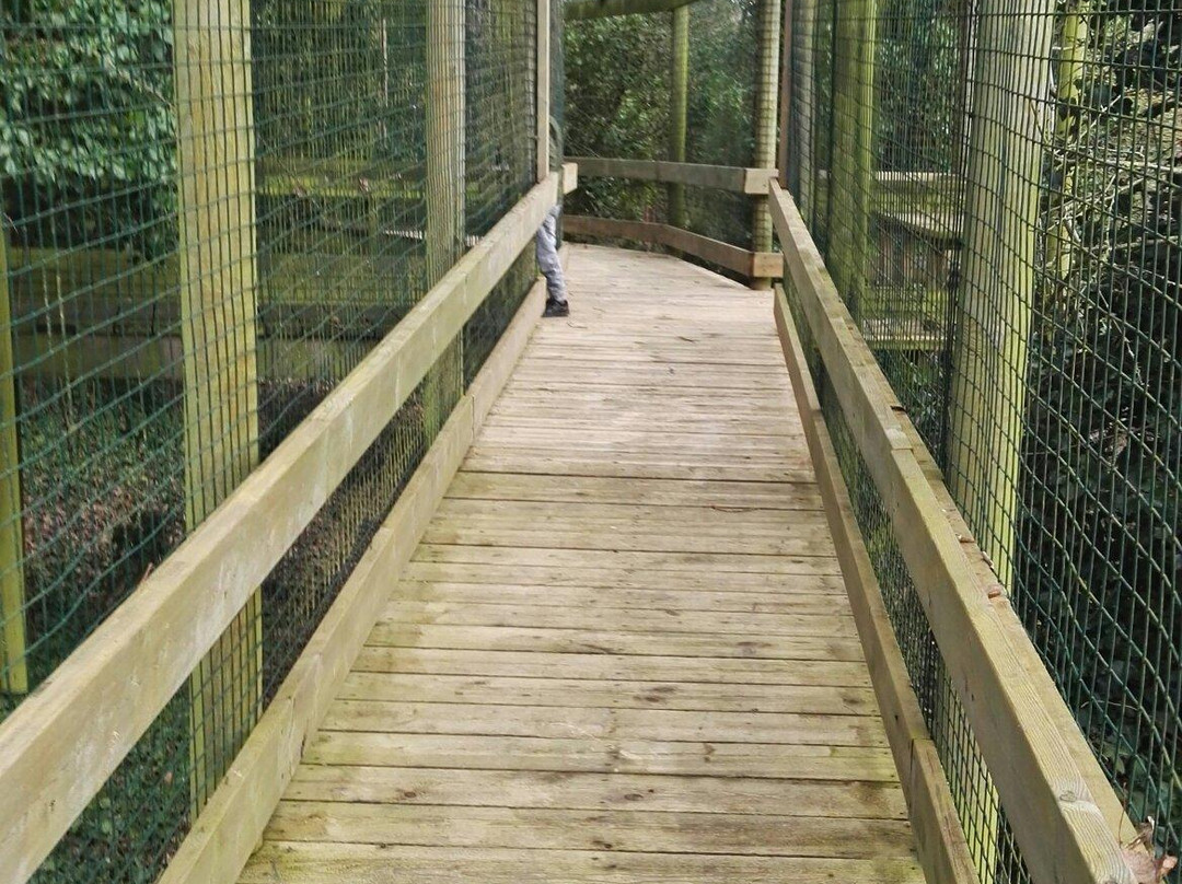 Thames Valley Adventure Playground-塔普洛必去景点