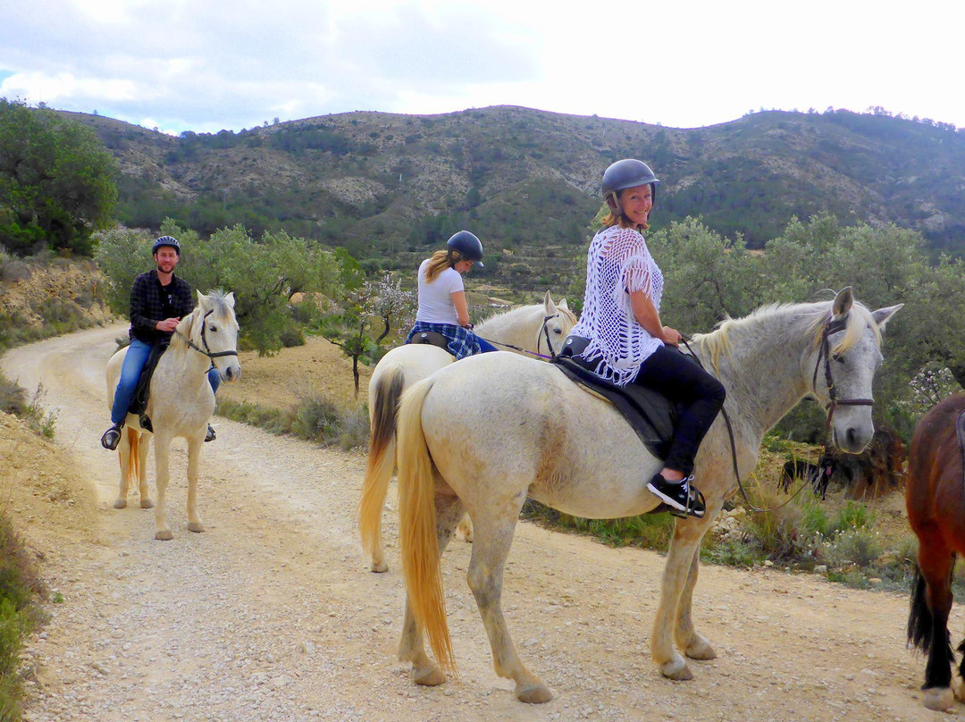 Hoof and Mountain Adventures-Orcheta必去景点