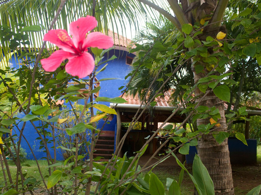 Jammin Hostel
