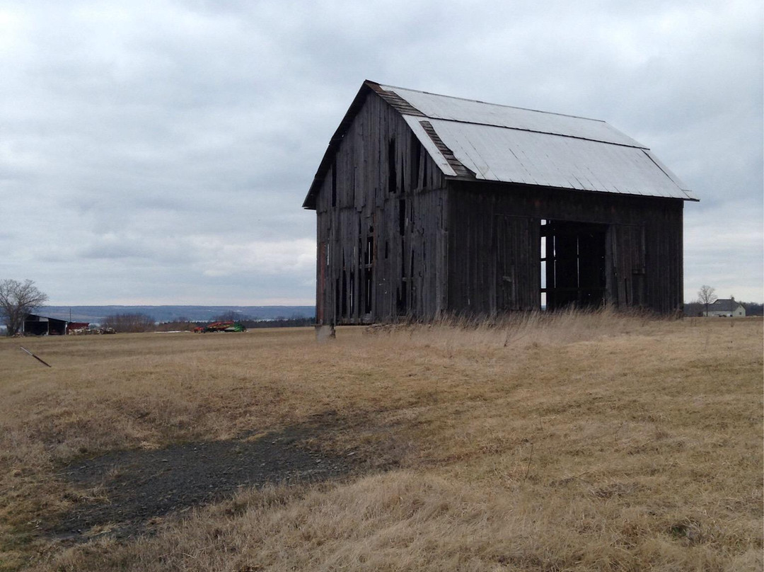 Cayuga Lake Wine Trail景点图片