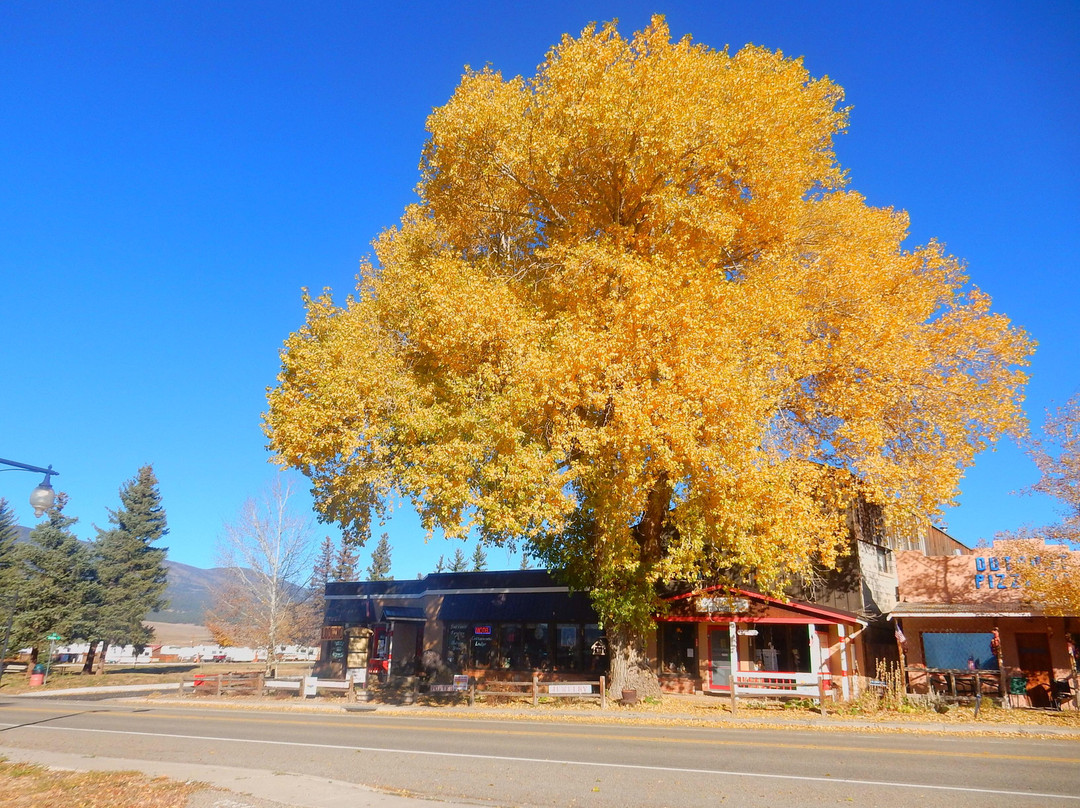 Cottonwood Lodge