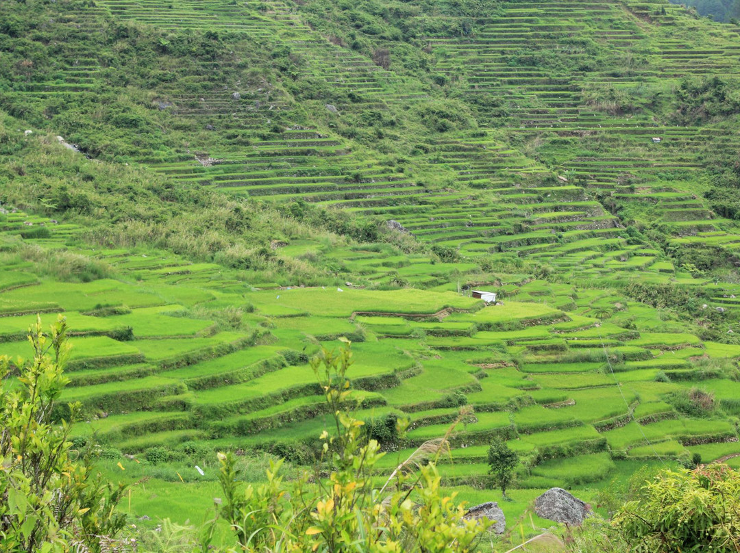 Aguid Rice Terraces-萨加达必去景点