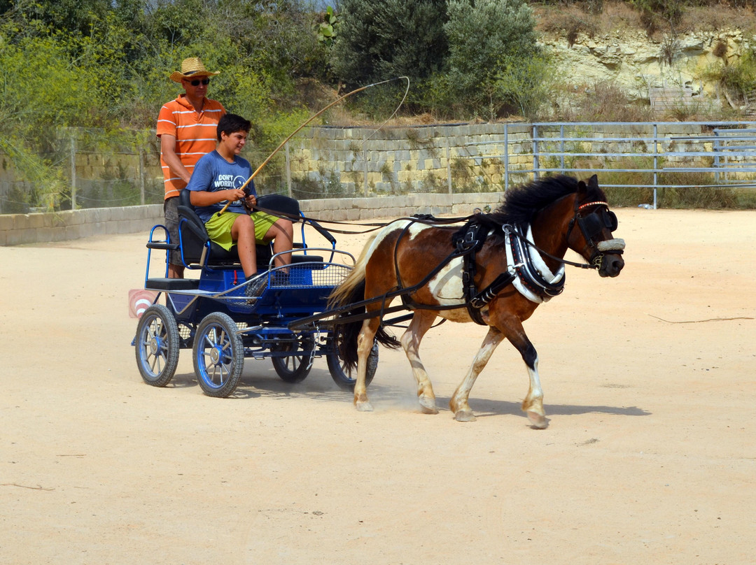 Victor's Horse & Carriage-Xaghra必去景点