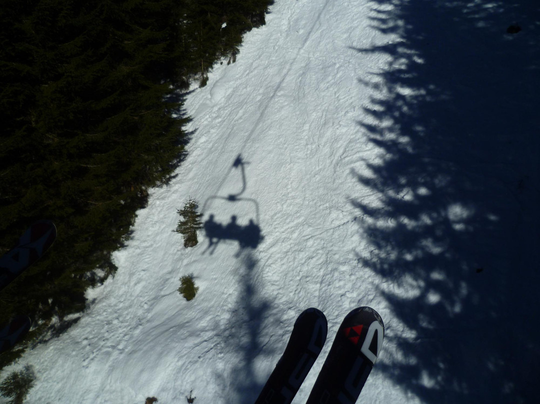 Skischule Bogei Filzmoos-菲尔兹摩斯必去景点