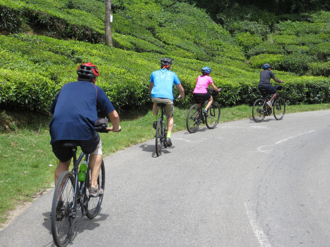 Kerala Bicycle Trips景点图片