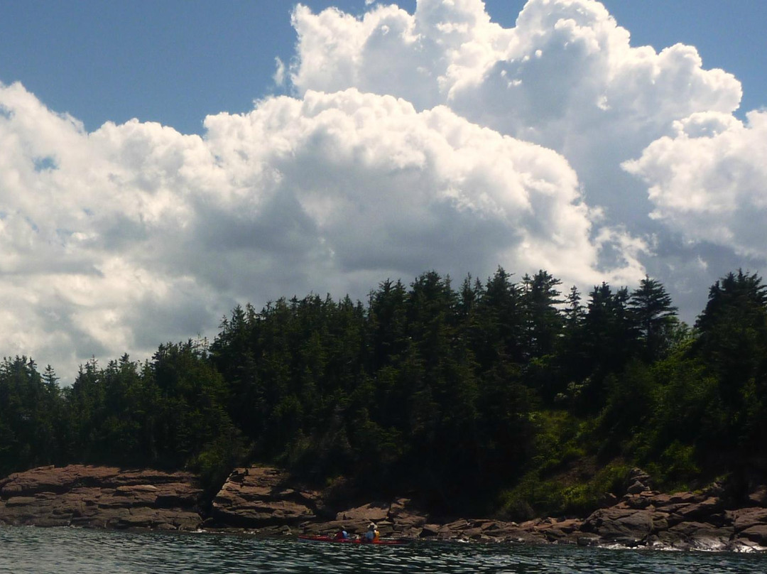 Coastal Spirit Expeditions-Cape John必去景点