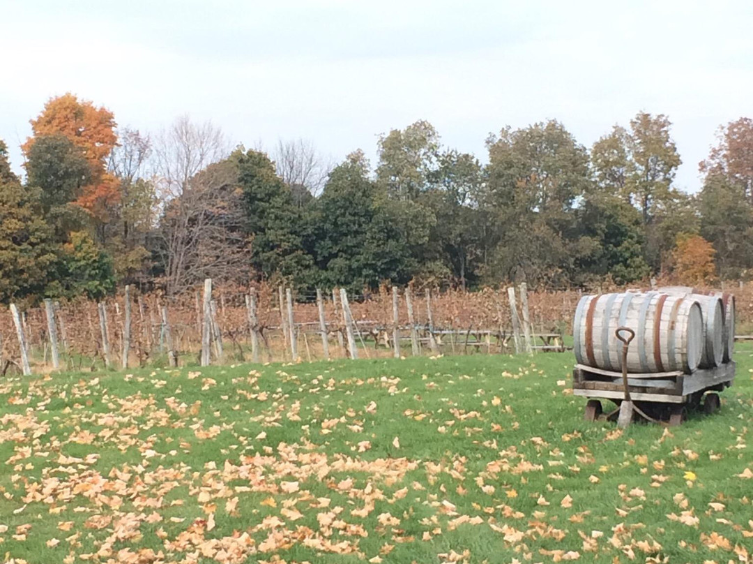 Haight-Brown Vineyard-利奇菲尔德必去景点