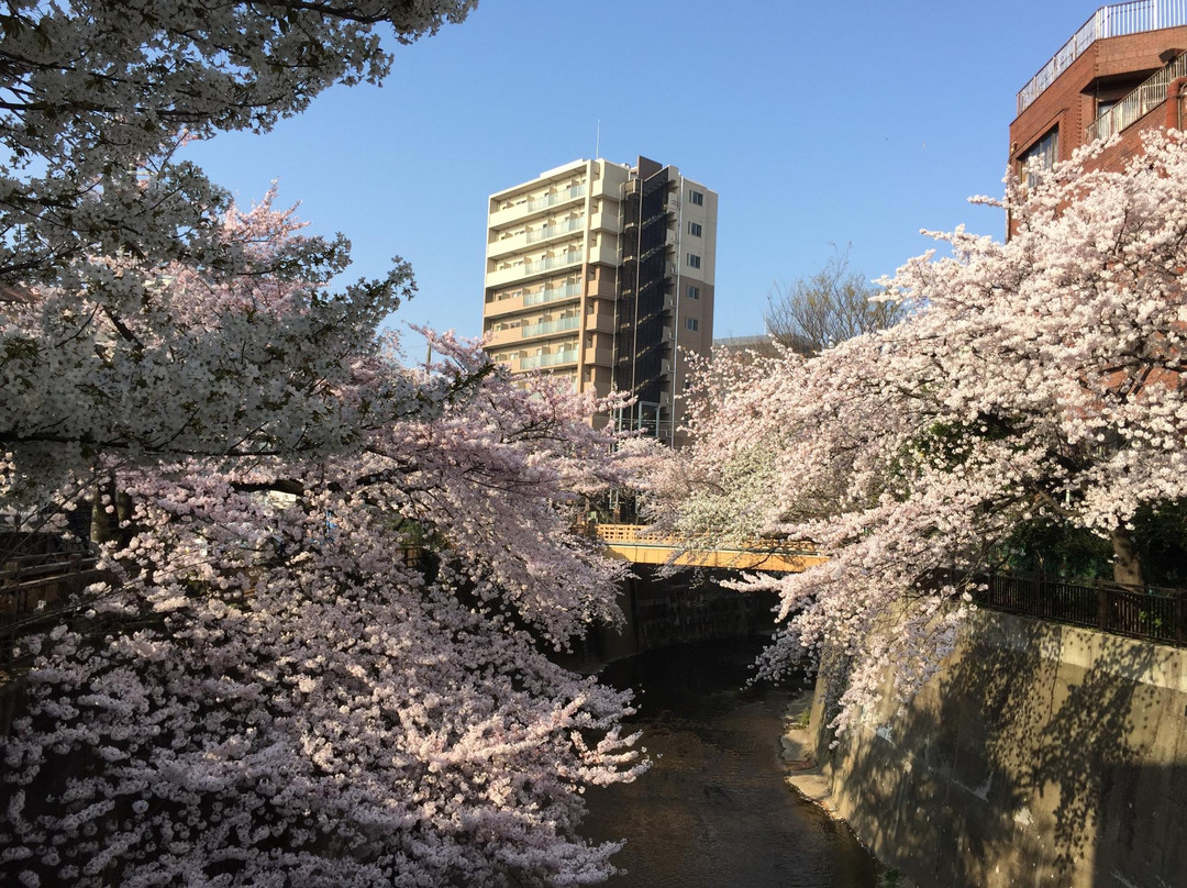 板桥区旅游攻略图片