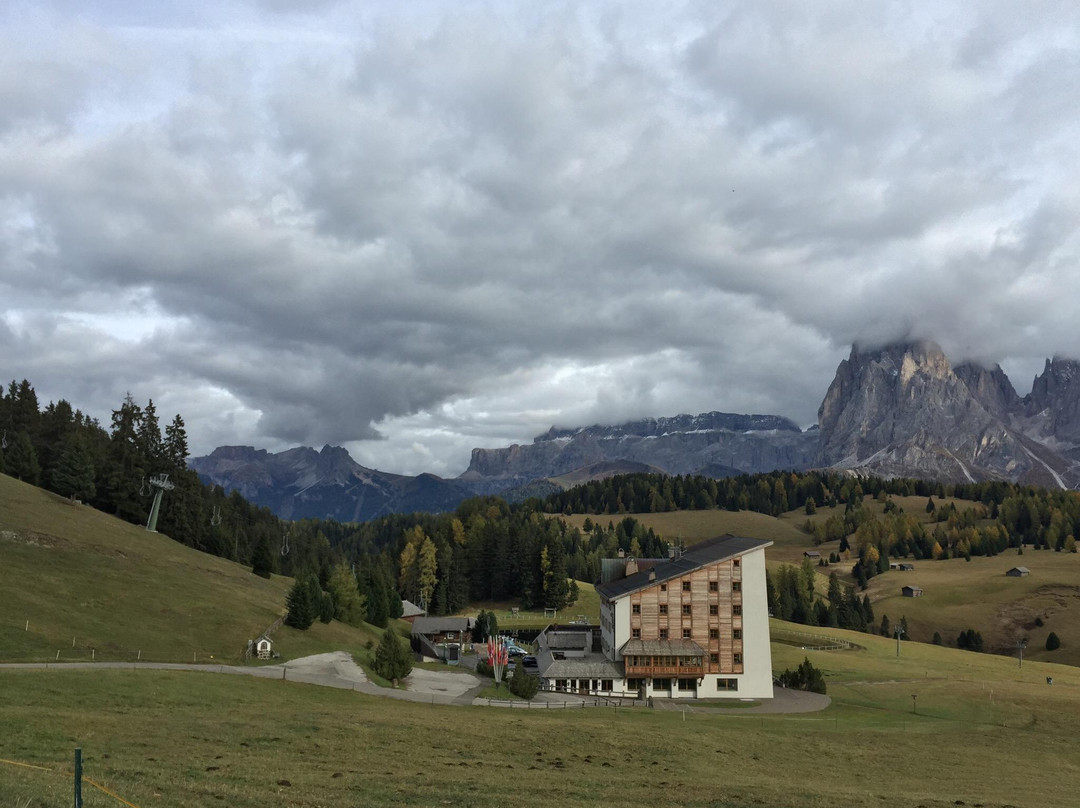 Funivia Ortisei Alpe Di Siusi景点图片