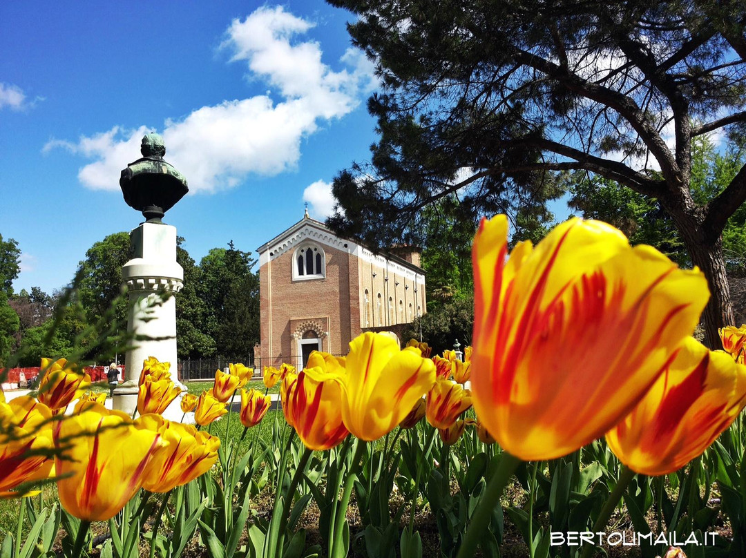 Guida Turistica Padova Bertoli Maila - Day Tour-帕多瓦必去景点