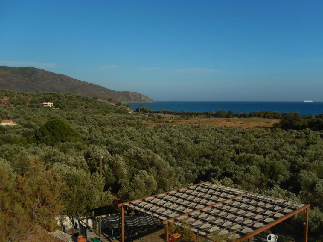 Blue Bay Hotel主图