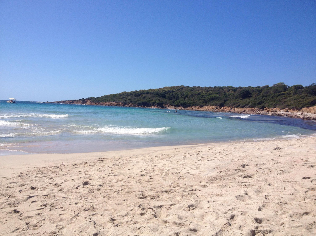 Plage de Capo di Feno-阿雅克肖必去景点