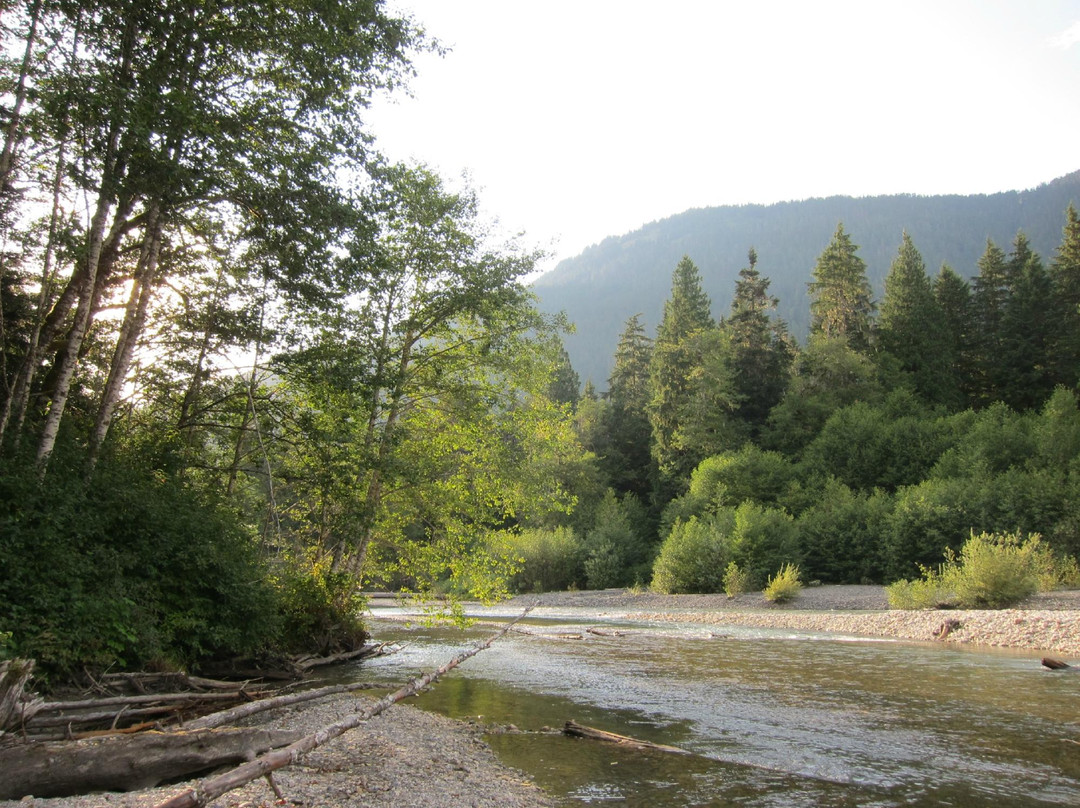 Silver Fir Campground