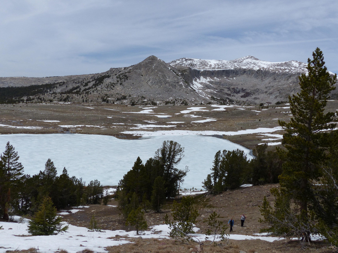 Gaylor Lake-优胜美地国家公园必去景点