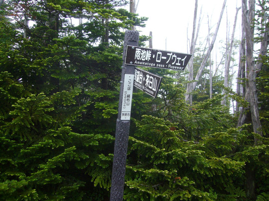 Shimagareyama Mountain-佐久穗町必去景点