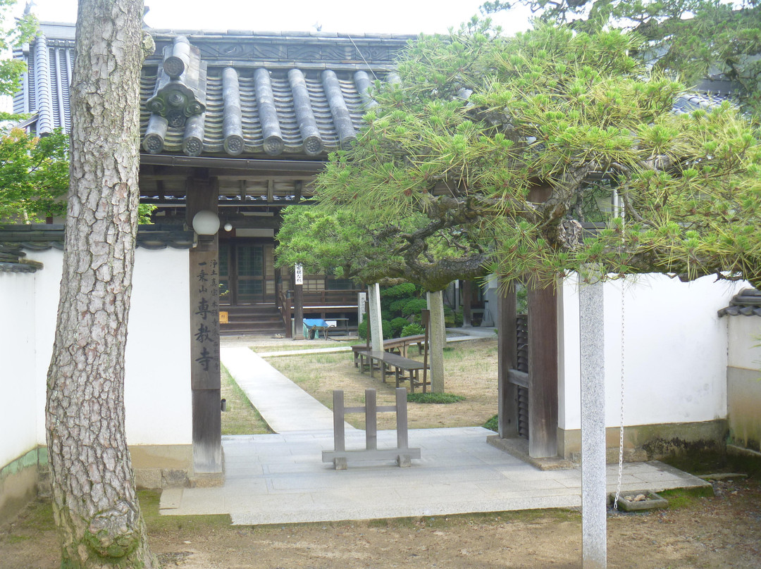Senkyo-ji Temple-矢挂町必去景点