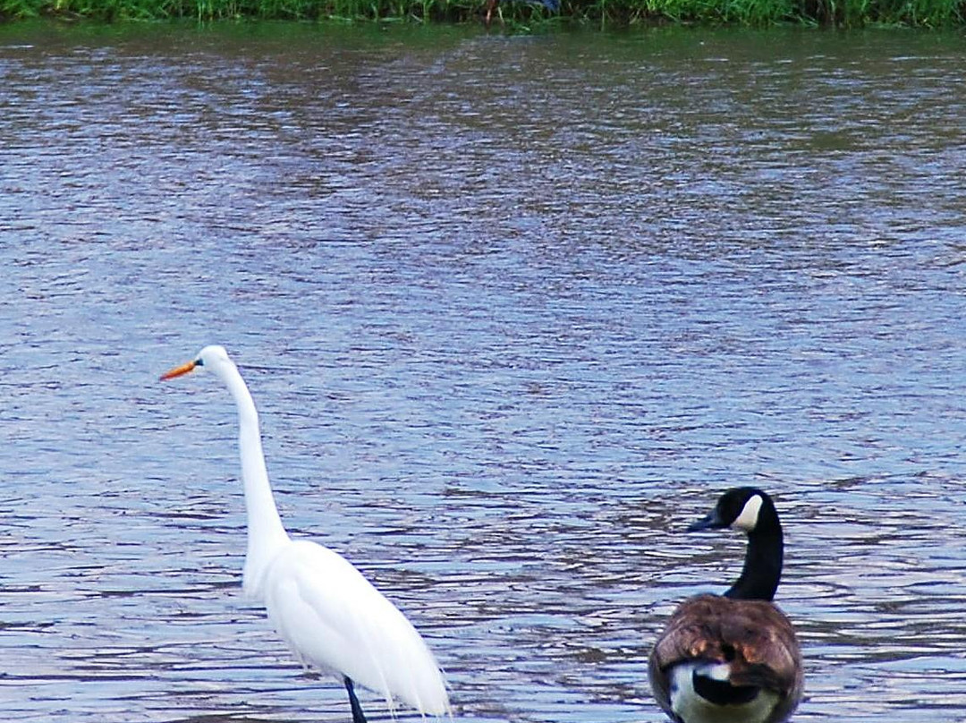 Shoal Creek Conservation Area-Litchfield必去景点