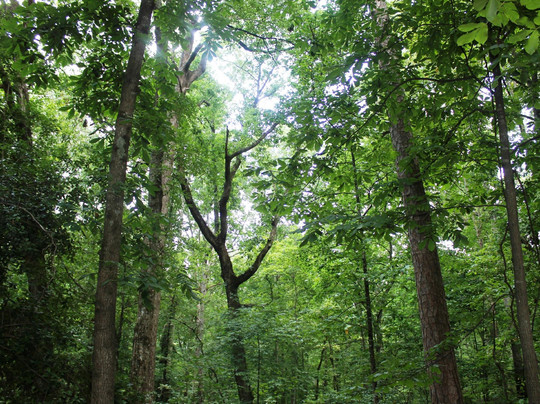 Reynolds Nature Preserve-Morrow必去景点