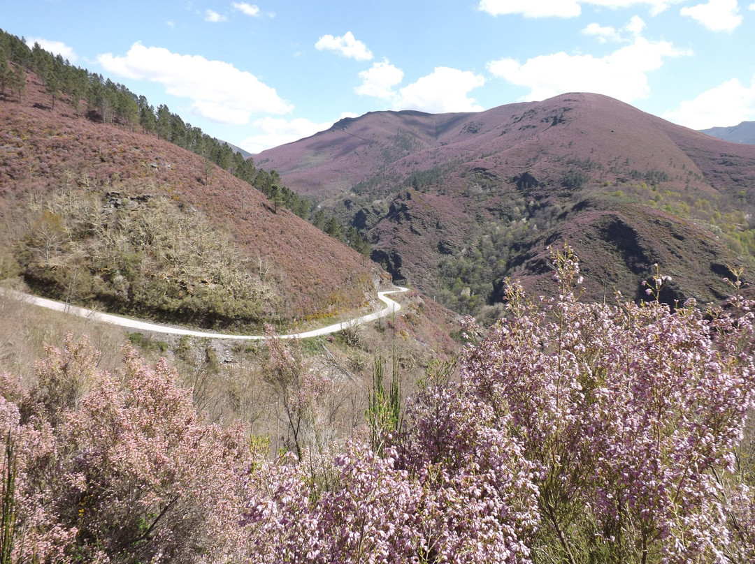 Folgoso do Courel旅游攻略图片