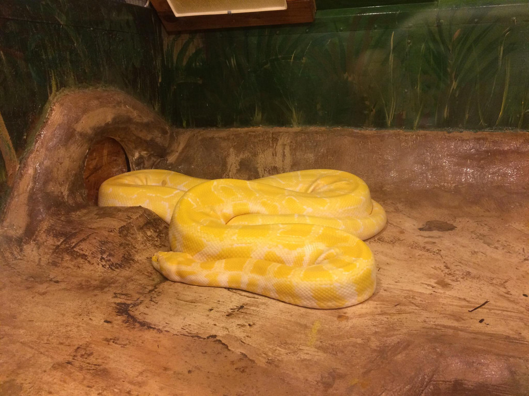 Kentucky Reptile Zoo-Slade必去景点