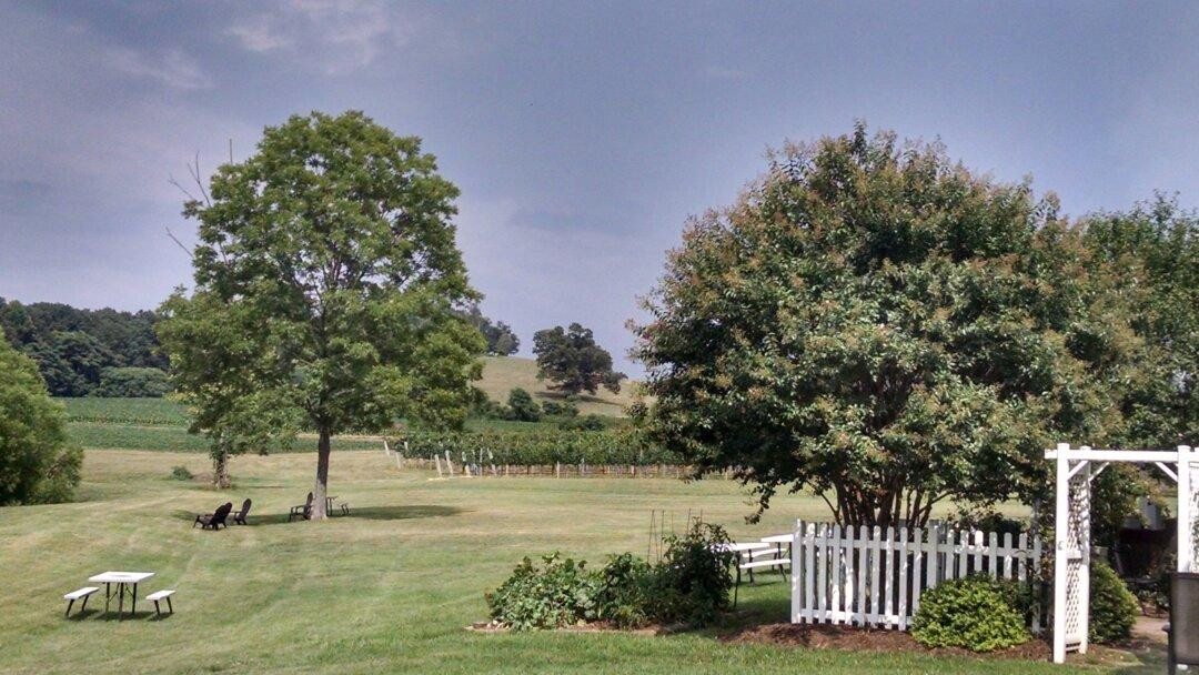 Laurel Gray Vineyard & Winery景点图片