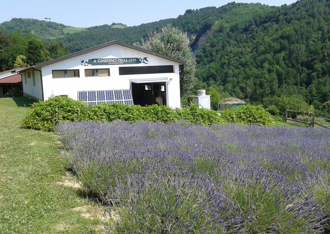Giardino delle Erbe Augusto Rinaldi Ceroni景点图片