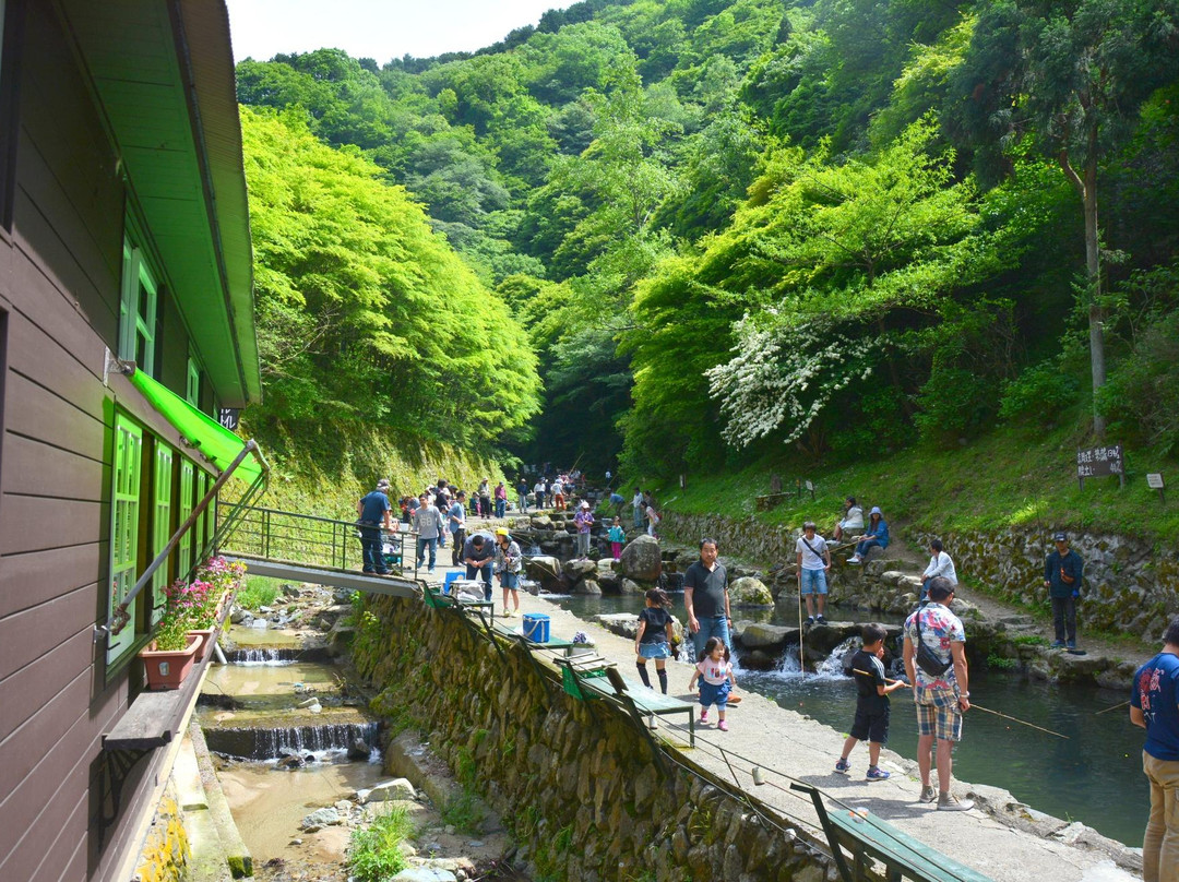 Chihayagawa Masu Fishing Area-千早赤阪村必去景点